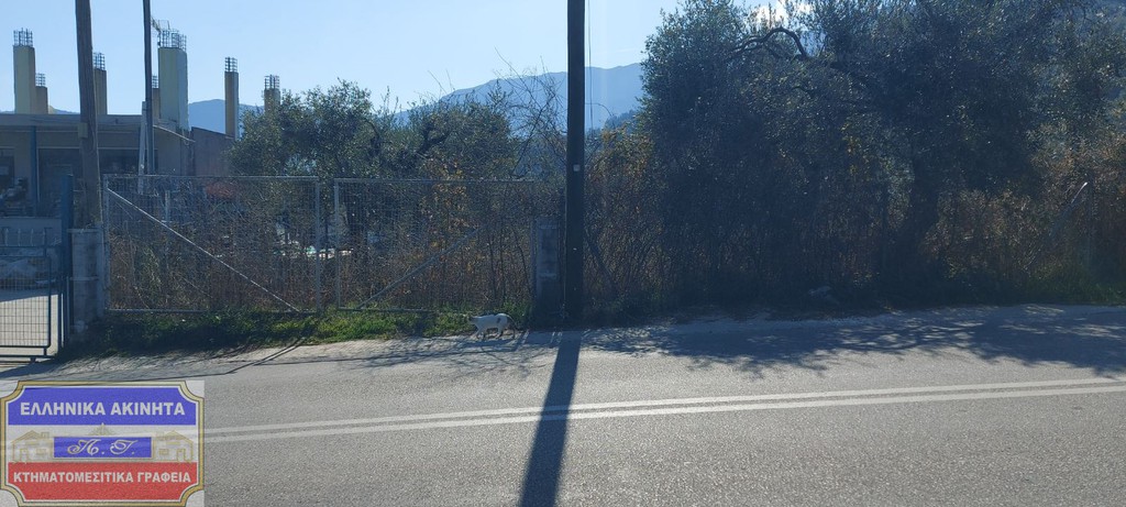 Αγροτεμάχια 3.900 τ.μ. προς πώληση, Χρυσή Αμμουδιά