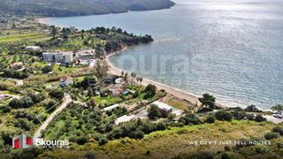 Αγροτεμάχια 15.958,60 τ.μ. για πώληση, Μεσσηνία, Μεθώνη-thumb-6