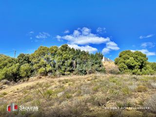 Αγροτεμάχια 15.958,60 τ.μ. για πώληση, Μεσσηνία, Μεθώνη-thumb-11