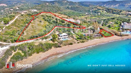 Αγροτεμάχια 15.958,6τ.μ. για πώληση-Μεθώνη