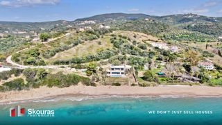 Αγροτεμάχια 15.958,60 τ.μ. για πώληση, Μεσσηνία, Μεθώνη-thumb-21