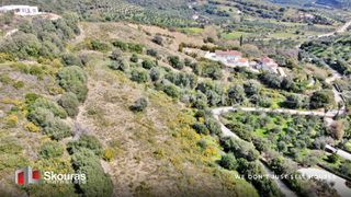 Αγροτεμάχια 15.958,60 τ.μ. για πώληση, Μεσσηνία, Μεθώνη-thumb-3