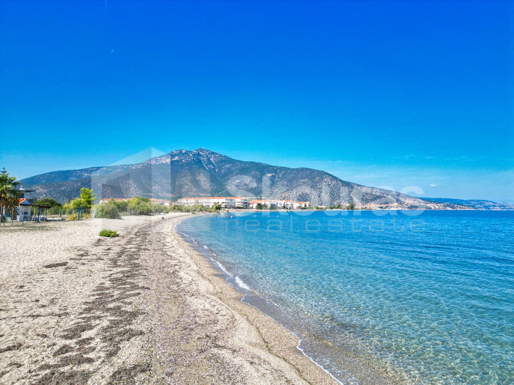 Αγροτεμάχια 4.615 τ.μ. προς πώληση, Παράλιο Άστρος