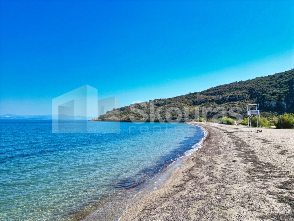Αγροτεμάχια 4.615 τ.μ. προς πώληση, Παράλιο Άστρος