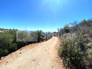 Αγροτεμάχια 4.135 τ.μ. για πώληση, Αργολίδα, Ασίνη-thumb-21