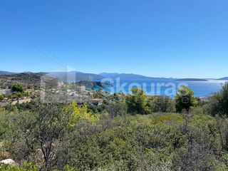 Αγροτεμάχια 4.135 τ.μ. για πώληση, Αργολίδα, Ασίνη-thumb-11