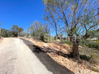Αγροτεμάχια 4.135 τ.μ. για πώληση, Αργολίδα, Ασίνη-thumb-18