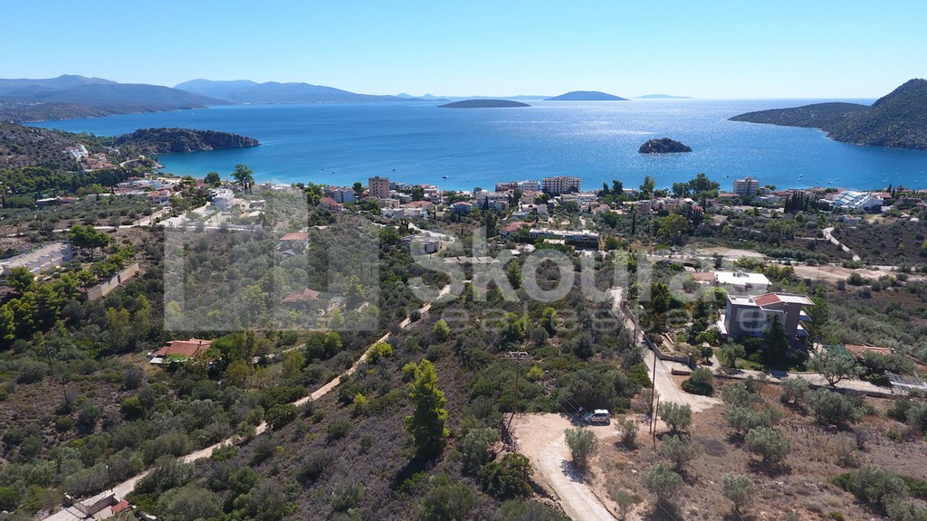 Αγροτεμάχια 4.135 τ.μ. προς πώληση, Τολό
