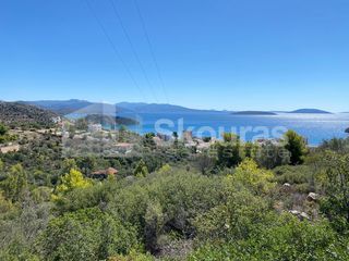 Αγροτεμάχια 4.135 τ.μ. για πώληση, Αργολίδα, Ασίνη-thumb-10