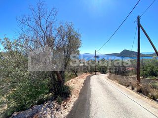 Αγροτεμάχια 4.135 τ.μ. για πώληση, Αργολίδα, Ασίνη-thumb-16