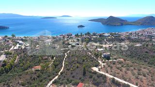 Αγροτεμάχια 4.135 τ.μ. για πώληση, Αργολίδα, Ασίνη-thumb-6