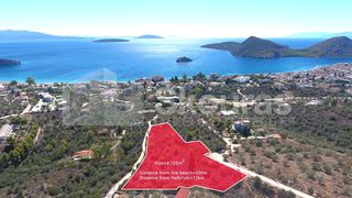 Αγροτεμάχια 4.135 τ.μ. για πώληση