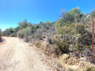 Αγροτεμάχια 4.135 τ.μ. για πώληση, Αργολίδα, Ασίνη-thumb-20