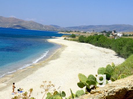 Οικόπεδο 4.500 τ.μ. για πώληση