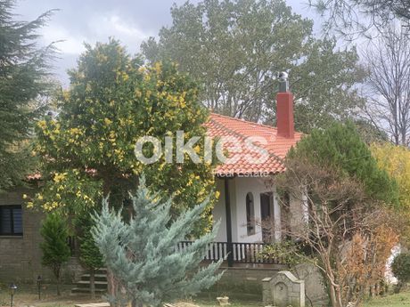 Μονοκατοικία 136τ.μ. για ενοικίαση-Θέρμη » Βασιλικά