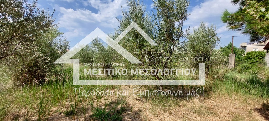 Οικόπεδο 943,90 τ.μ. προς πώληση, Αιτωλοακαρνανία, Ιερά Πόλη Μεσολογγίου