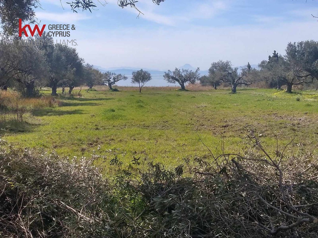 Οικόπεδο 2.000 τ.μ. πρός πώληση, Αιτωλοακαρνανία, Αντίρριο