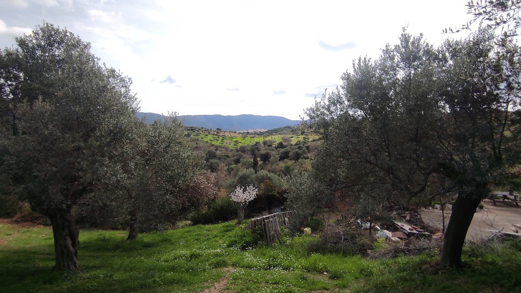 Μονοκατοικία 50 τ.μ. προς πώληση, Ζάρακες