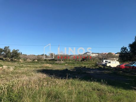 Οικόπεδο 7.000 τ.μ. για πώληση