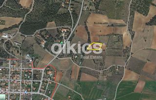 Αγροτεμάχια 4.134 τ.μ. για πώληση