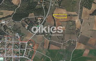 Αγροτεμάχια 4.515 τ.μ. για πώληση