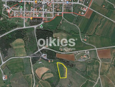 Αγροτεμάχια 8.750τ.μ. για πώληση-Βερτίσκος