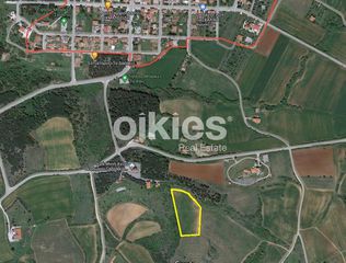 Αγροτεμάχια 8.750 τ.μ. για πώληση