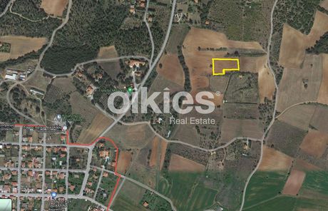 Αγροτεμάχια 4.484τ.μ. για πώληση-Βερτίσκος