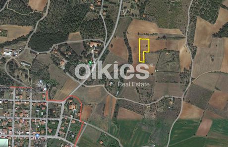 Αγροτεμάχια 4.439τ.μ. για πώληση-Βερτίσκος