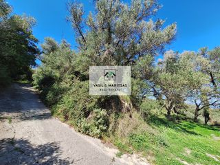 Οικόπεδο 1.614 τ.μ. για πώληση, Ν. Κέρκυρας, Κέρκυρα-thumb-12