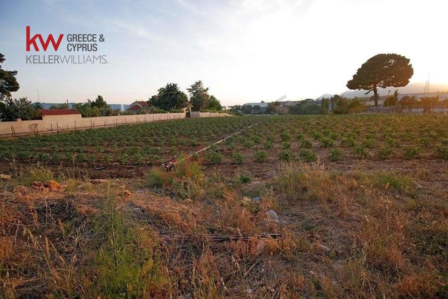Αγροτεμάχια 12.000 τ.μ. προς πώληση, Ζώνη Χονδρεμπορίου Κρυονερίου