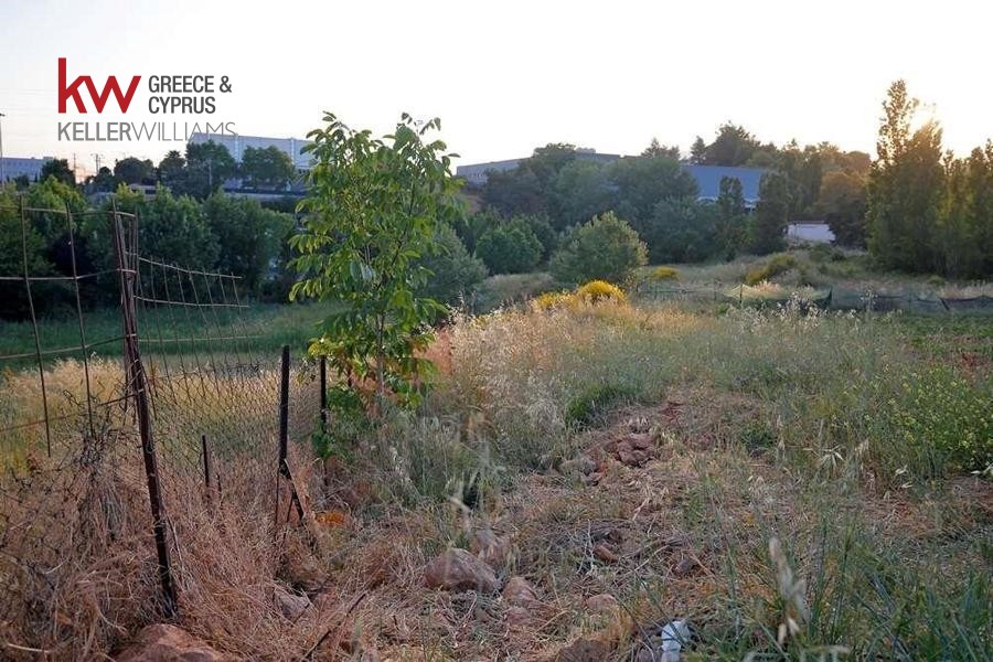 Αγροτεμάχια 12.000 τ.μ. προς πώληση, Ζώνη Χονδρεμπορίου Κρυονερίου