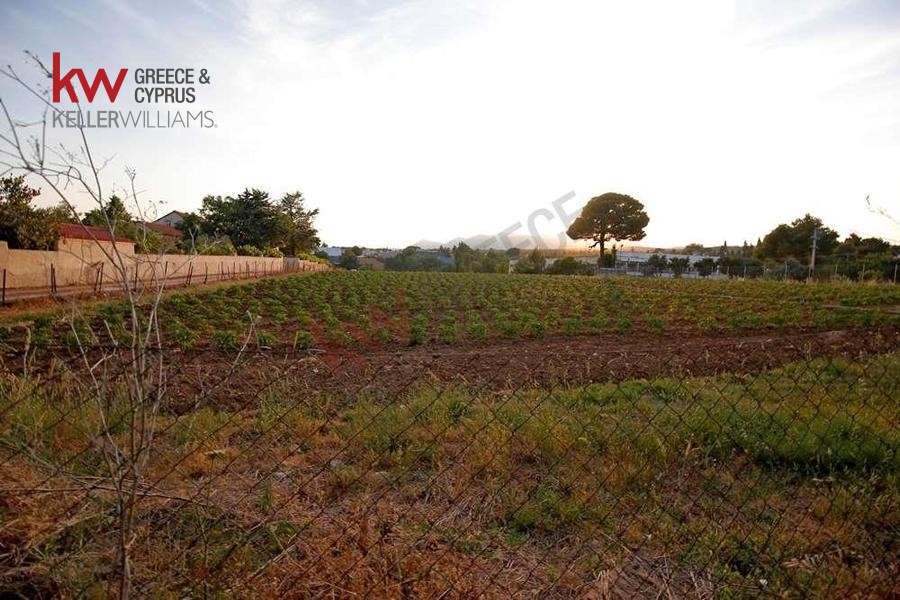 Αγροτεμάχια 12.000 τ.μ. προς πώληση, Ζώνη Χονδρεμπορίου Κρυονερίου