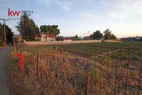 Parcel 12.000sqm for sale-Krioneri