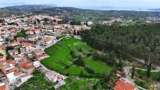 Οικόπεδο 5.086 τ.μ. για πώληση, Αργολίδα, Κρανίδι-thumb-8