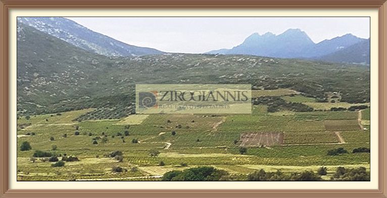 Οικόπεδο 7.700 τ.μ. για πώληση, Βοιωτία, Θήβα