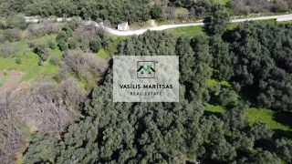 Οικόπεδο 4.005 τ.μ. για πώληση, Ν. Κέρκυρας, Κέρκυρα-thumb-22