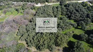 Οικόπεδο 4.005 τ.μ. για πώληση, Ν. Κέρκυρας, Κέρκυρα-thumb-5