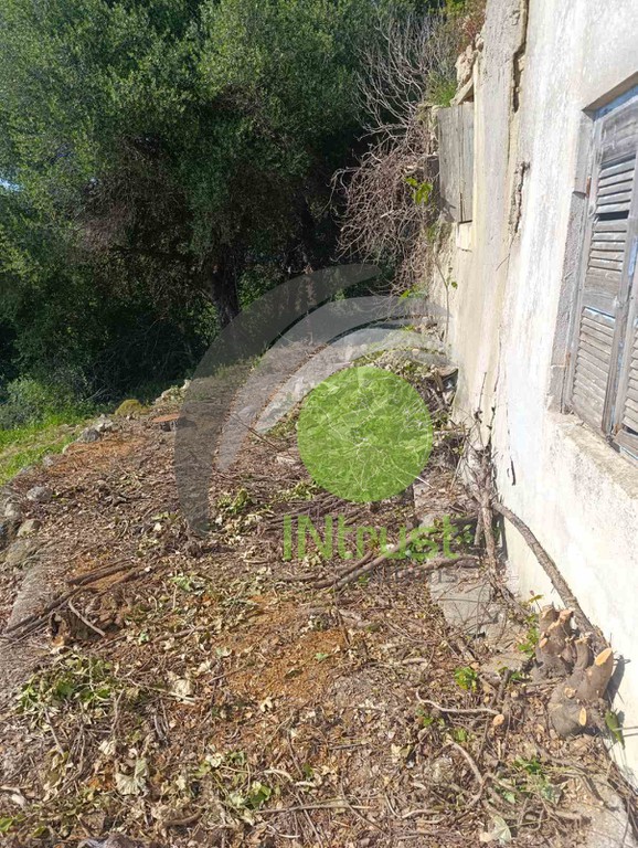Αγροτεμάχια 507,95 τ.μ. προς πώληση, Σχίνοι
