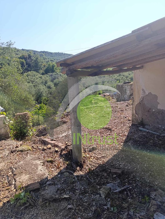 Αγροτεμάχια 507,95 τ.μ. προς πώληση, Σχίνοι