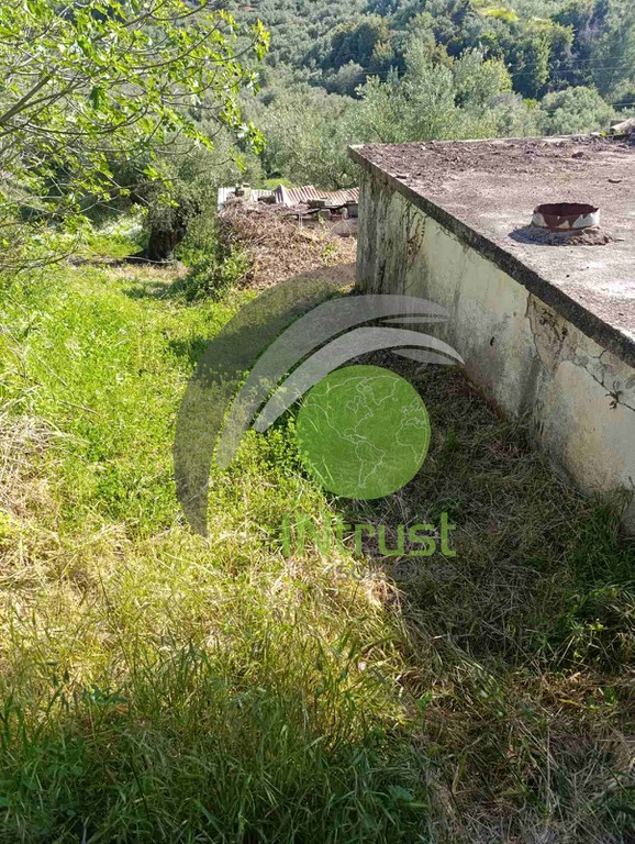 Αγροτεμάχια 507,95 τ.μ. προς πώληση, Σχίνοι
