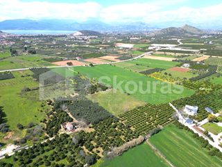 Αγροτεμάχια 6.000 τ.μ. για πώληση, Αργολίδα, Ναύπλιο-thumb-7