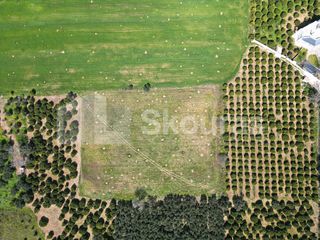 Αγροτεμάχια 6.000 τ.μ. για πώληση, Αργολίδα, Ναύπλιο-thumb-9