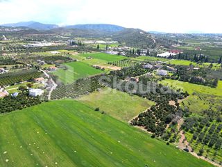 Αγροτεμάχια 6.000 τ.μ. για πώληση, Αργολίδα, Ναύπλιο-thumb-11