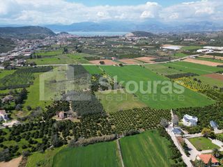 Αγροτεμάχια 6.000 τ.μ. για πώληση, Αργολίδα, Ναύπλιο-thumb-6