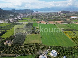 Αγροτεμάχια 6.000 τ.μ. για πώληση, Αργολίδα, Ναύπλιο-thumb-4