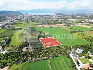 Αγροτεμάχια 6.000 τ.μ. για πώληση