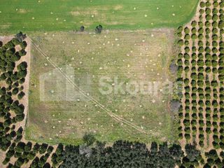 Αγροτεμάχια 6.000 τ.μ. για πώληση, Αργολίδα, Ναύπλιο-thumb-10