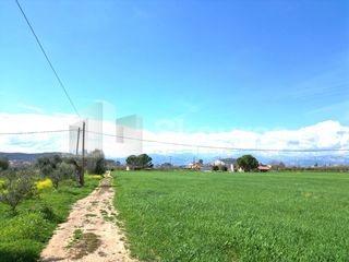 Αγροτεμάχια 6.000 τ.μ. για πώληση, Αργολίδα, Ναύπλιο-thumb-15