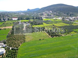 Αγροτεμάχια 6.000 τ.μ. για πώληση, Αργολίδα, Ναύπλιο-thumb-23